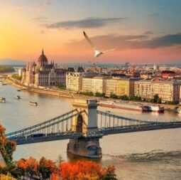 БУДИМ images