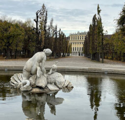 VIENA unnamed